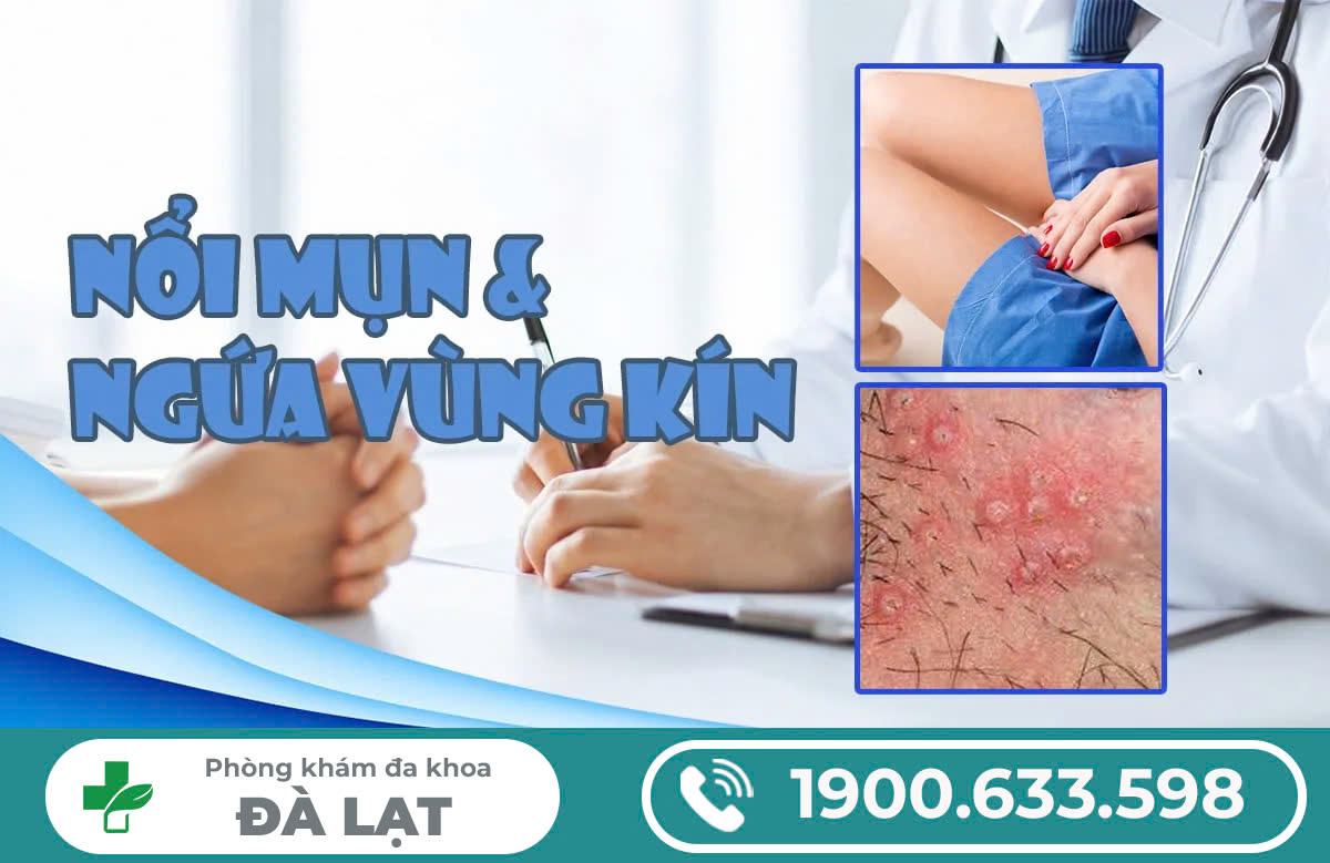 Vùng kín nổi mụn ngứa nguyên nhân do đâu và cách điều trị?